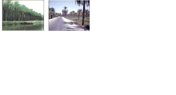 Travel from Bombay to Najaf-13
